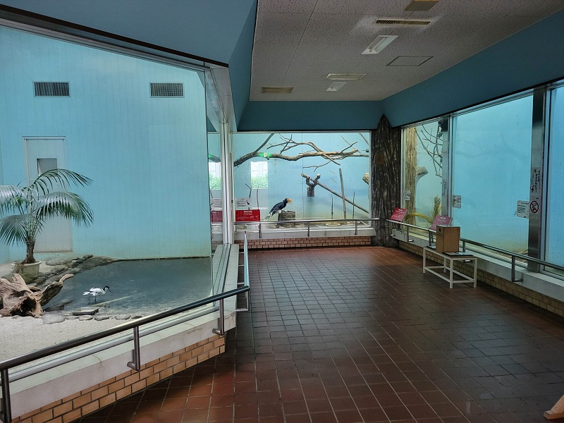 熱帯鳥類館｜静岡市立日本平動物園