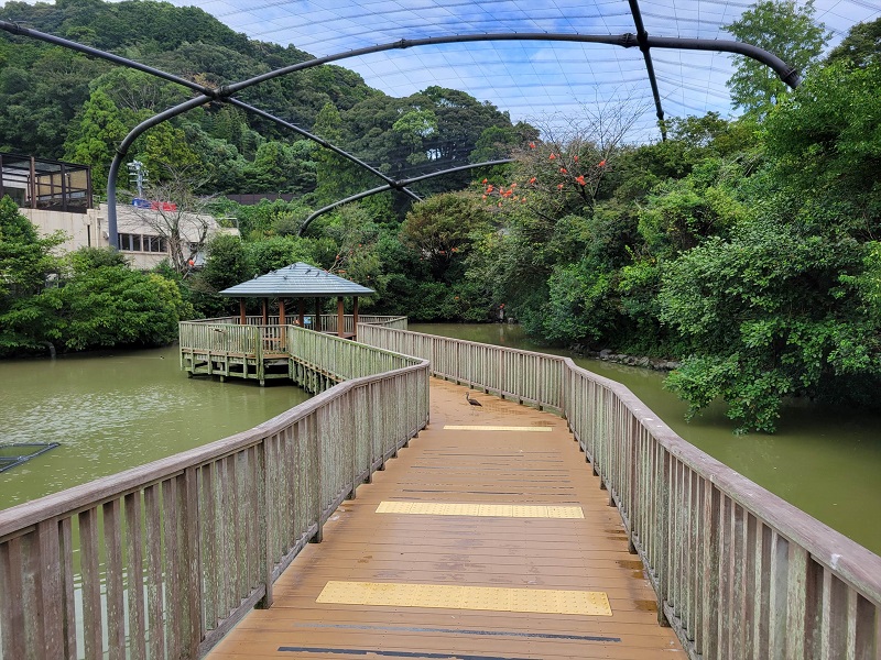 フライングメガドーム｜静岡市立日本平動物園