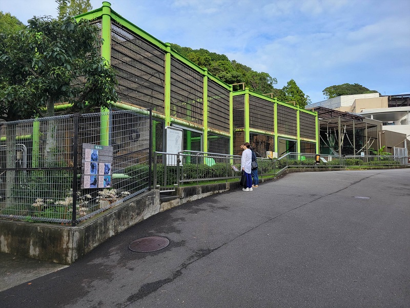 中型サル舎｜静岡市立日本平動物園