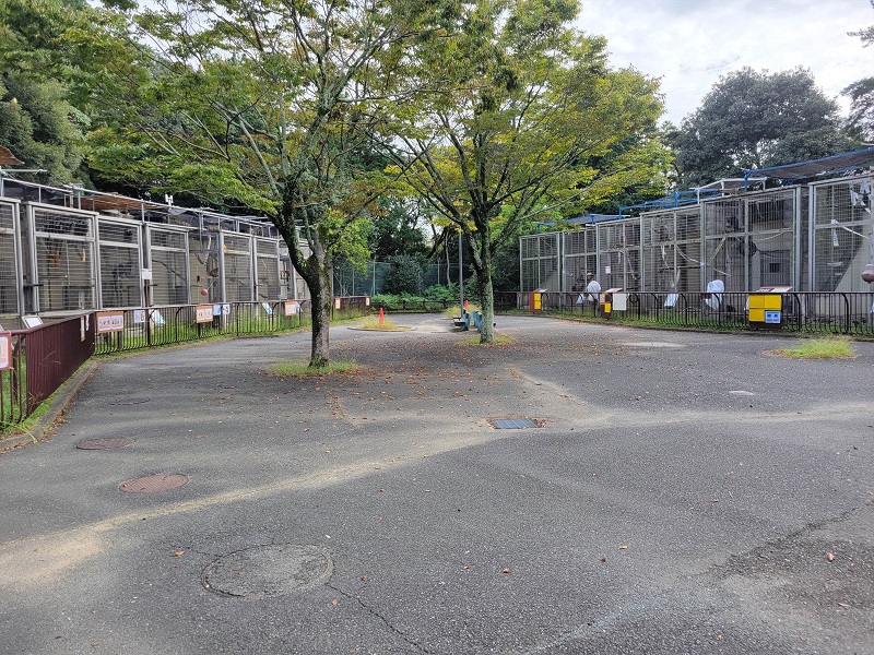 サルのアパート｜浜松市動物園