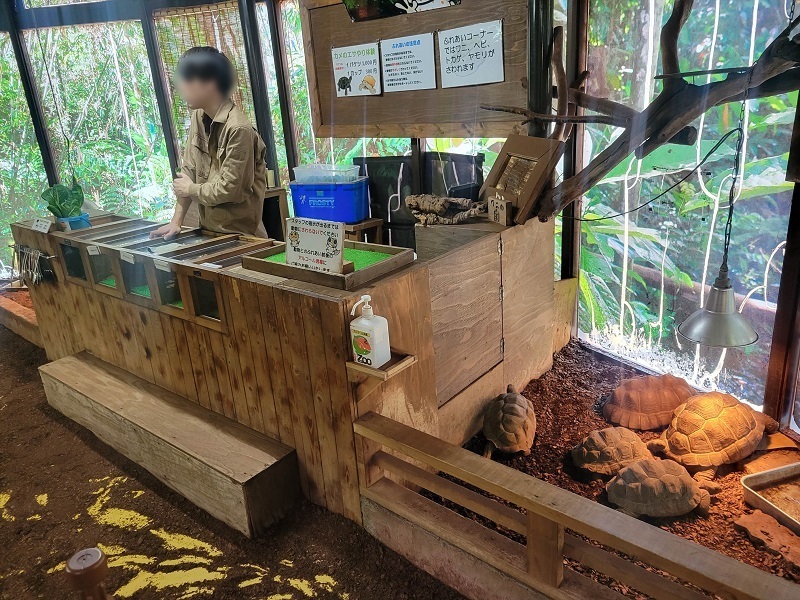 カメのエサやり体験とふれあいコーナー｜体感型動物園iZoo（イズー）