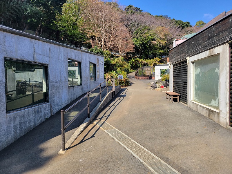 インドガビアル展示場｜体感型動物園iZoo（イズー）