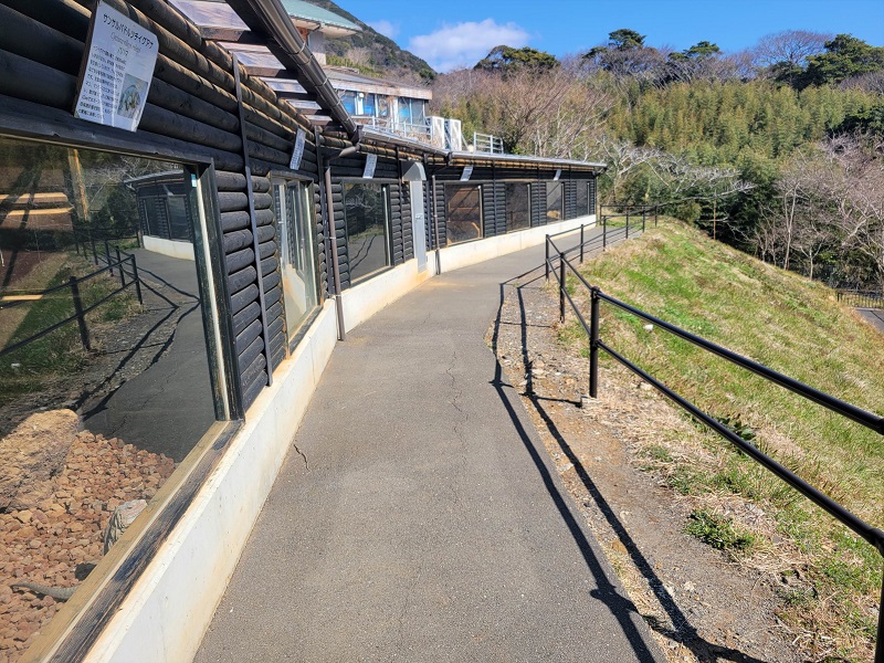 希少イグアナ展示場｜体感型動物園iZoo（イズー）