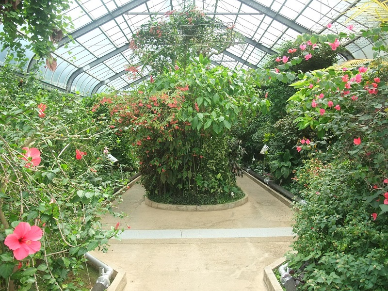 本園・植物園｜熱川バナナワニ園