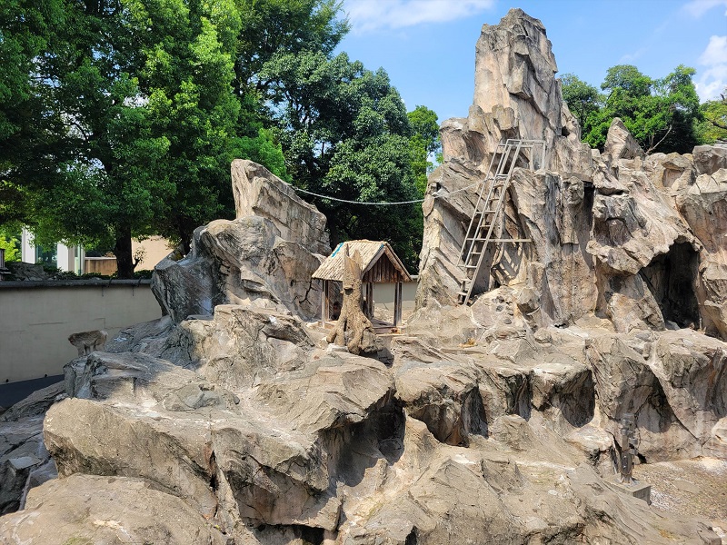 サル山｜上野動物園