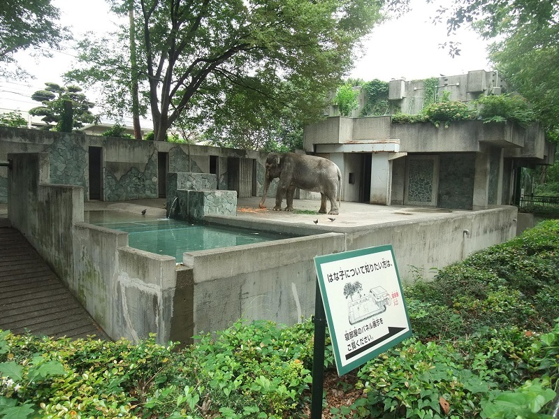 ゾウ舎｜井の頭自然文化園