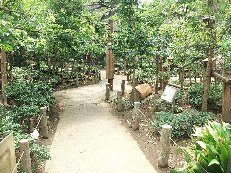 リスの小径｜井の頭自然文化園
