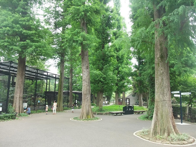 水生物園（分園）｜井の頭自然文化園