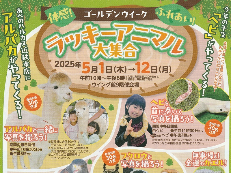 ラッキーアニマル大集合