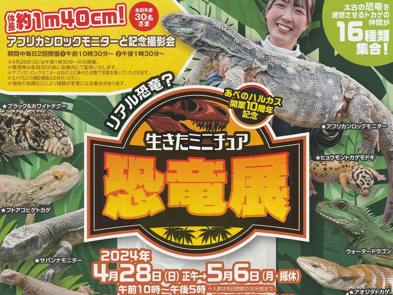 生きたミニチュア恐竜展