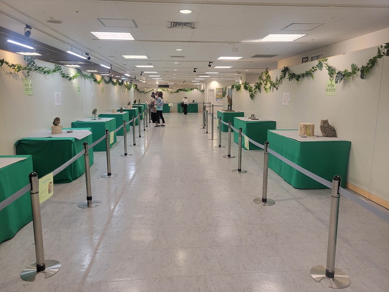 場内①｜幸せを呼ぶ！世界のフクロウ展