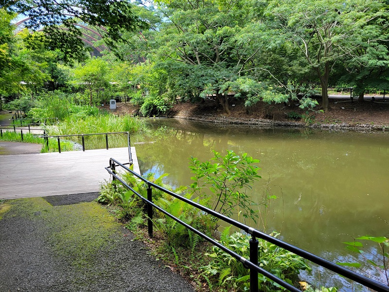 郷土の水辺｜到津の森公園