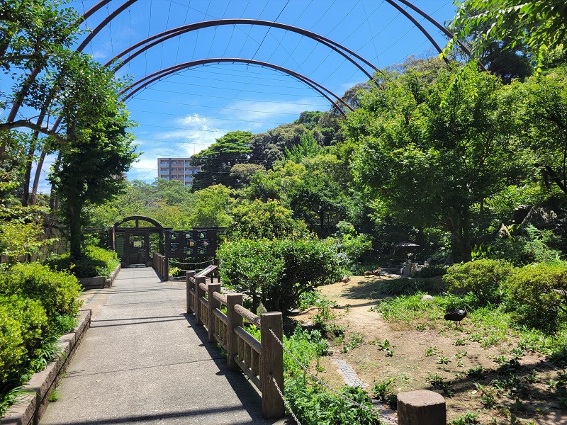 バードケージ｜到津の森公園