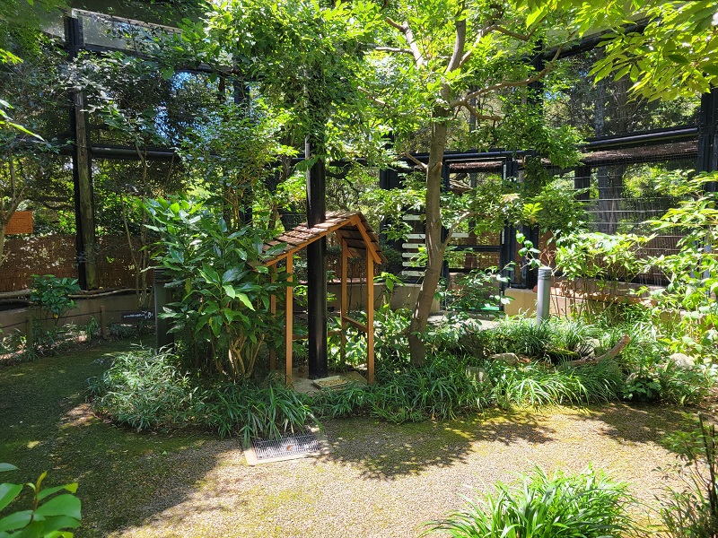 こもれびの径｜到津の森公園