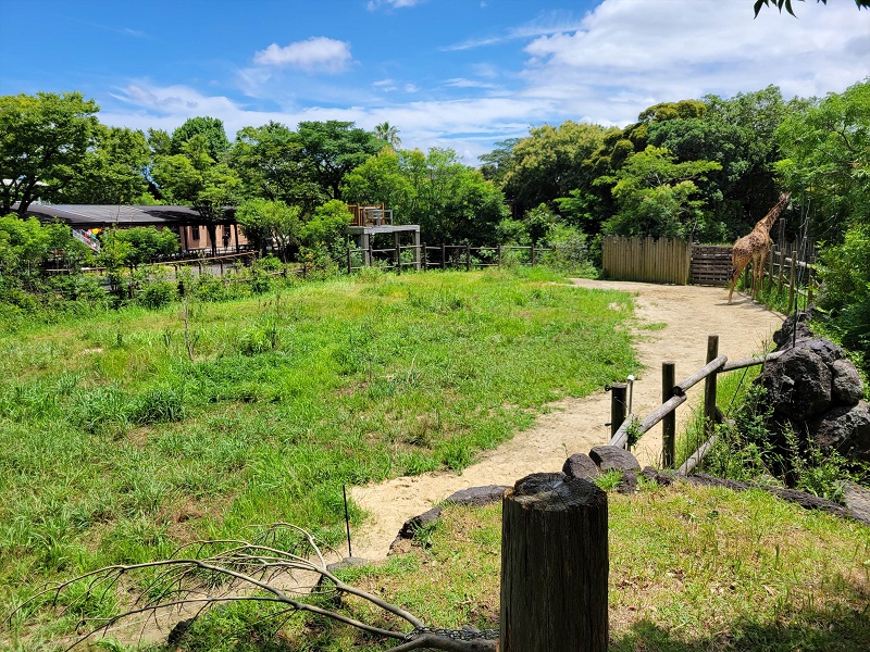 草原の世界｜到津の森公園