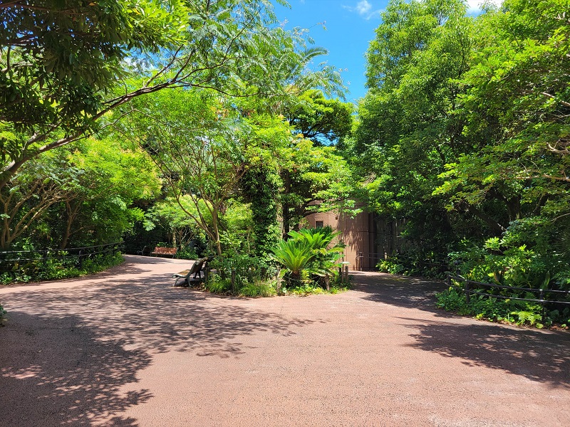 樹冠の世界｜到津の森公園