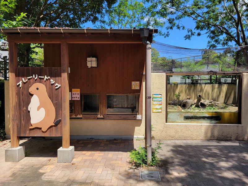 プレーリードッグ舎｜到津の森公園