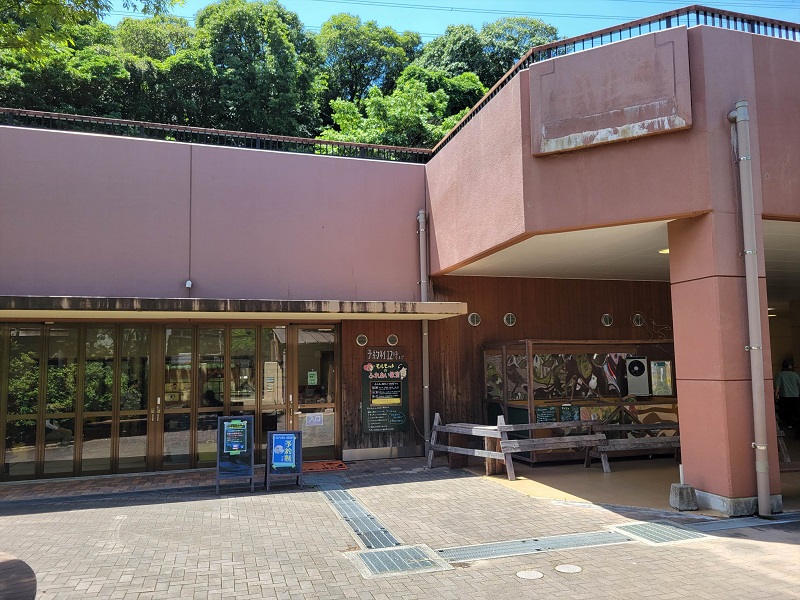 ふれあい動物園｜到津の森公園