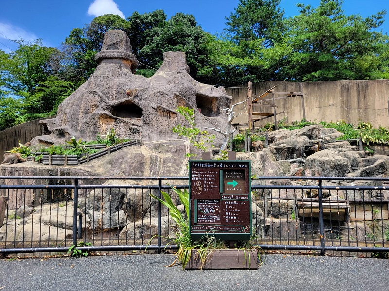 サル山｜到津の森公園