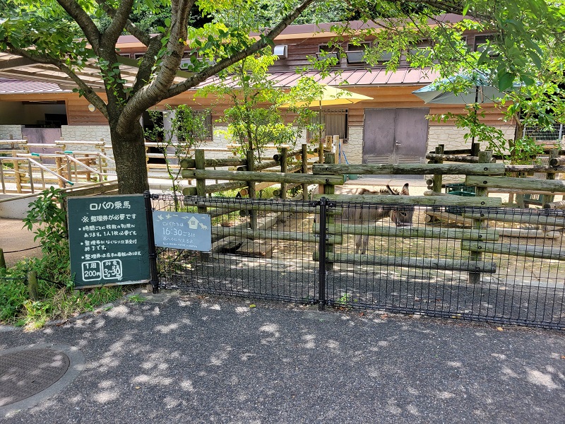 ロバのりば｜到津の森公園