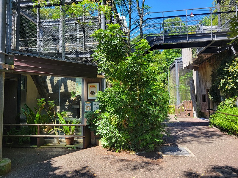 アジア熱帯の渓谷｜福岡市動物園