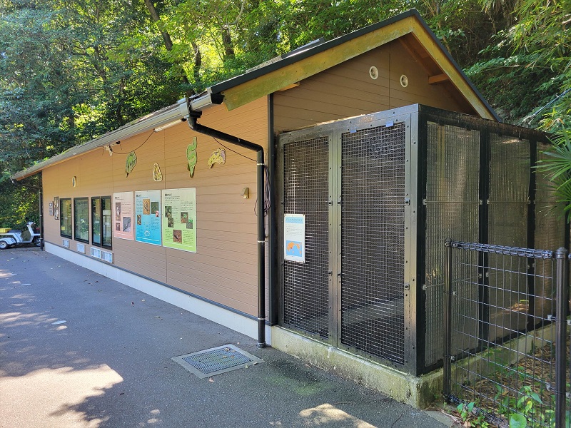 は虫類舎｜福岡市動物園