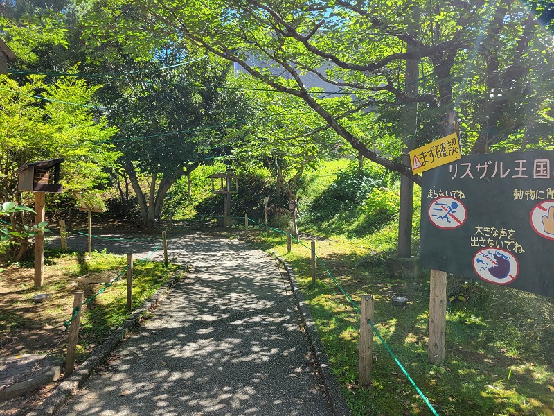 リスザル王国｜大牟田市動物園