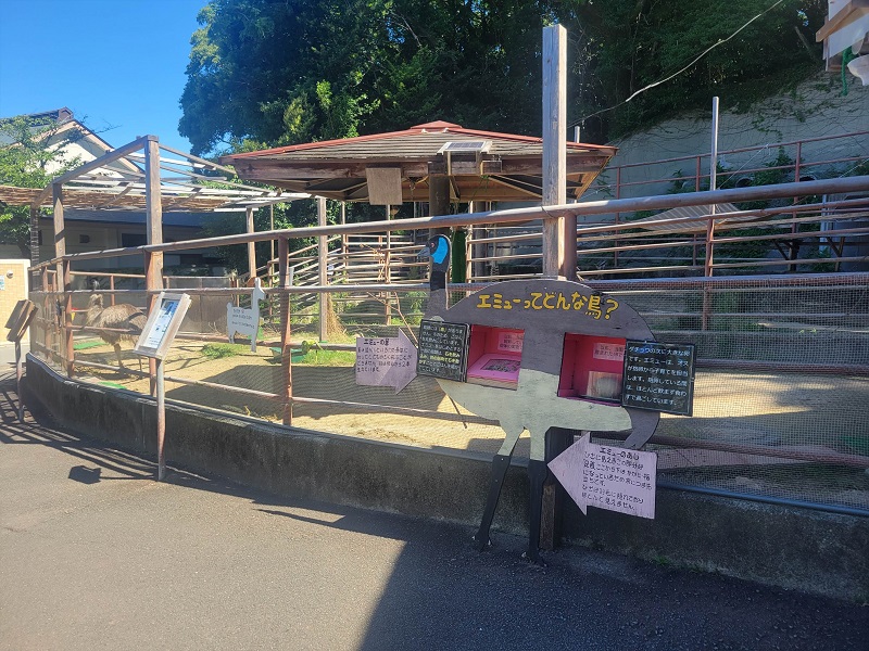 エミュー舎｜大牟田市動物園
