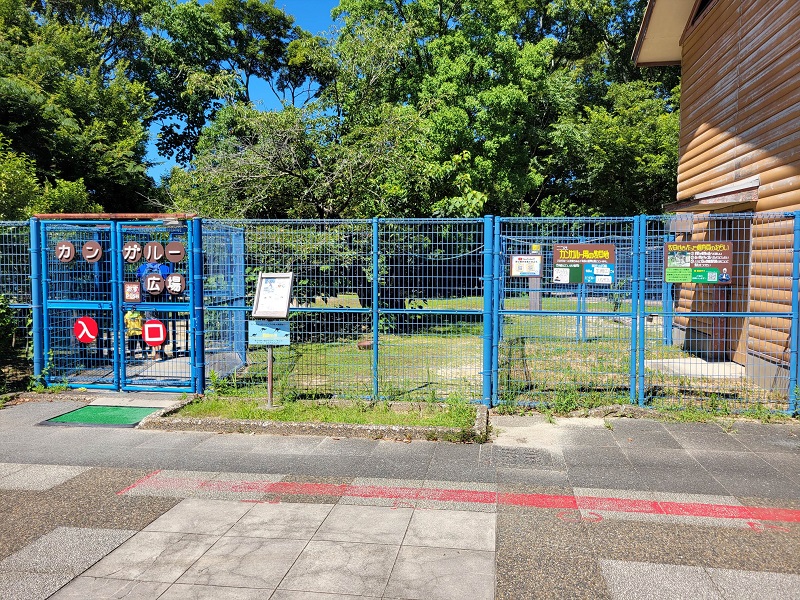 カンガルー広場｜大牟田市動物園