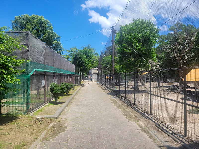 キジ舎｜久留米市鳥類センター