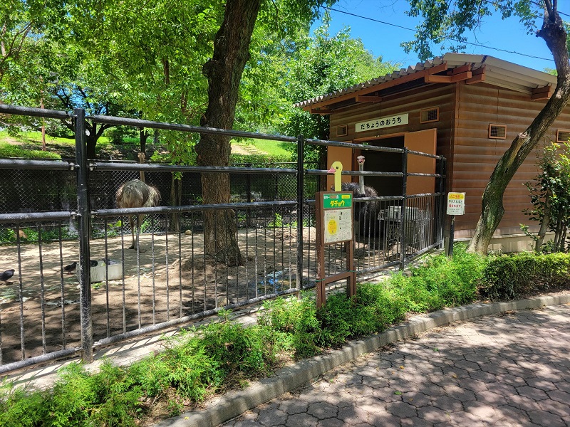 走鳥舎｜久留米市鳥類センター