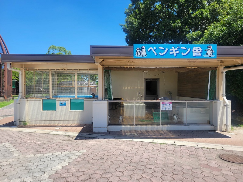 ペンギン舎｜久留米市鳥類センター