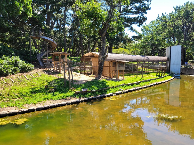 リスザルの島｜海の中道海浜公園 動物の森