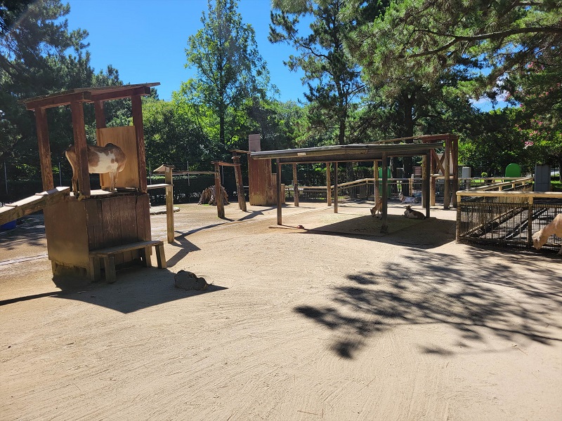 ヤギ舎｜海の中道海浜公園 動物の森