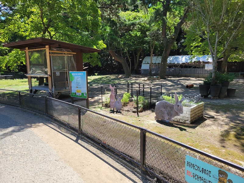 ウサギ・モルモット舎｜海の中道海浜公園 動物の森