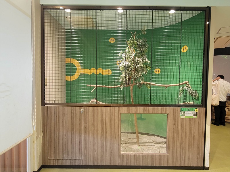 メンフクロウ｜ラブリー・アニモア・東京スカイツリータウンの動物園