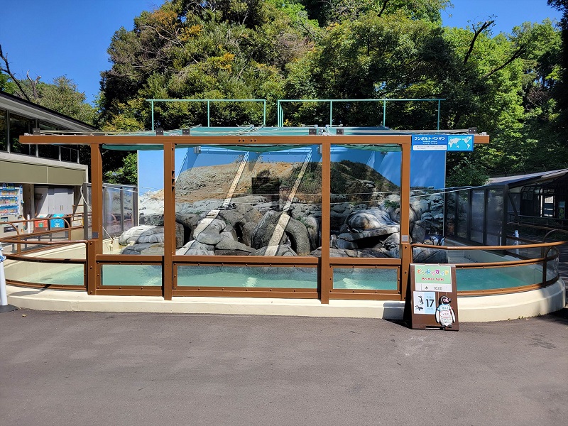 フンボルトペンギン｜野毛山動物園