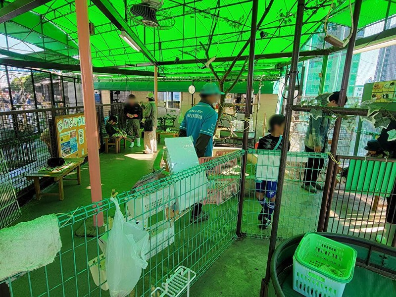 ふれあい広場|池田動物園