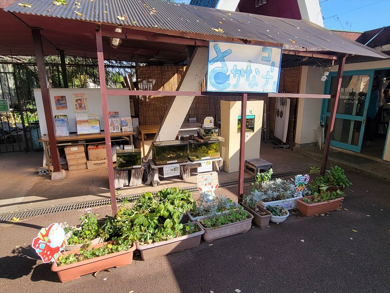 さかなコーナー|池田動物園