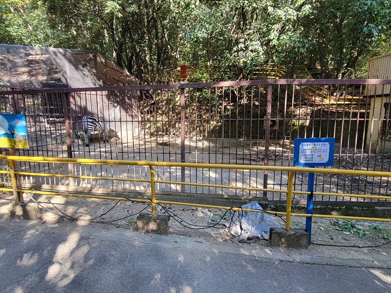 シマウマ舎|池田動物園