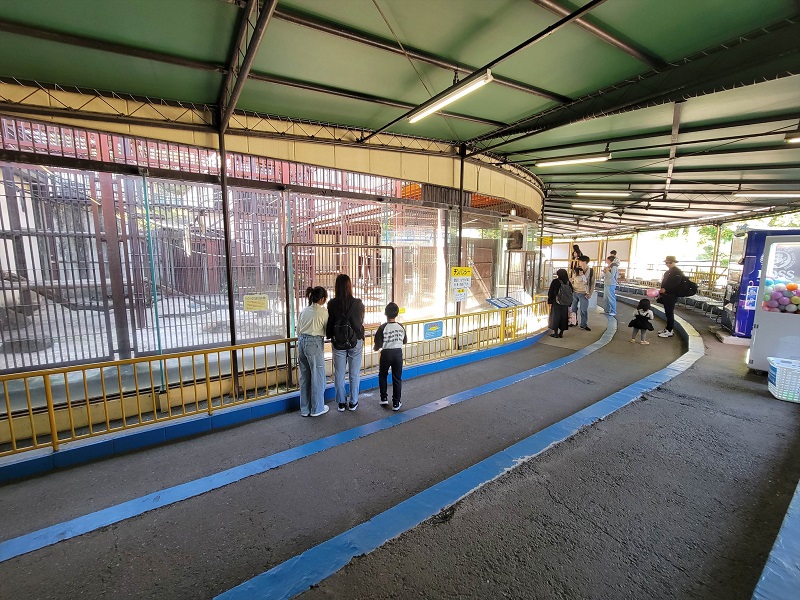 チンパンジー舎|池田動物園