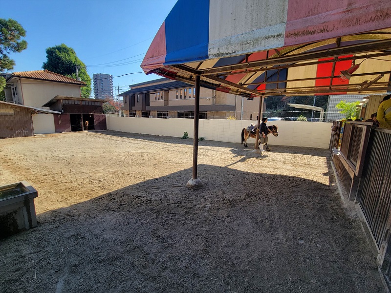 ポニー乗馬コーナー|池田動物園