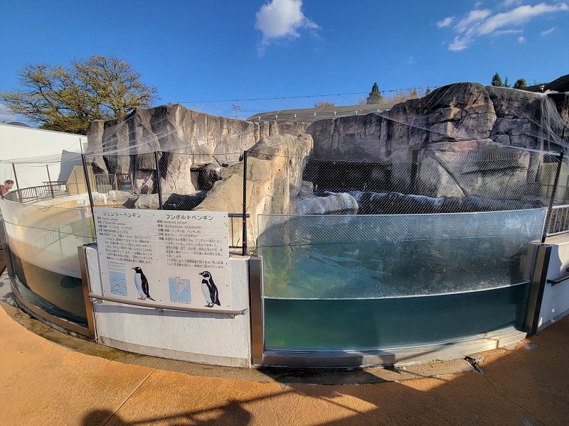 ペンギンゾーン|福山市立動物園