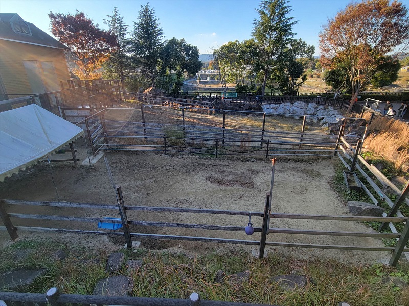 サバンナゾーン|福山市立動物園