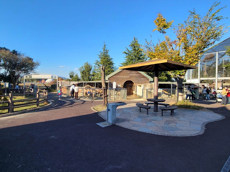 ふれあい動物ゾーン|福山市立動物園