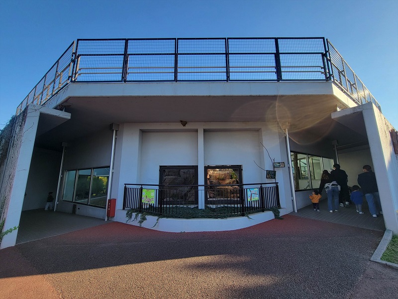 猛獣ゾーン|福山市立動物園