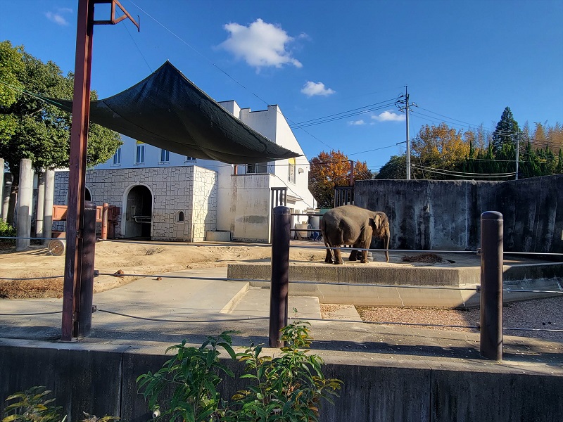 ゾウゾーン|福山市立動物園
