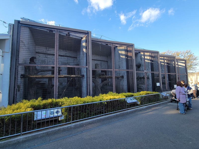 サルゾーン|福山市立動物園