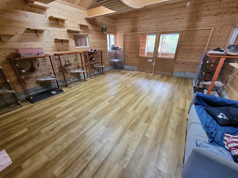 にゃんこハウス|渋川動物公園