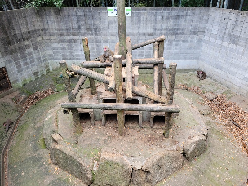 さる山|渋川動物公園
